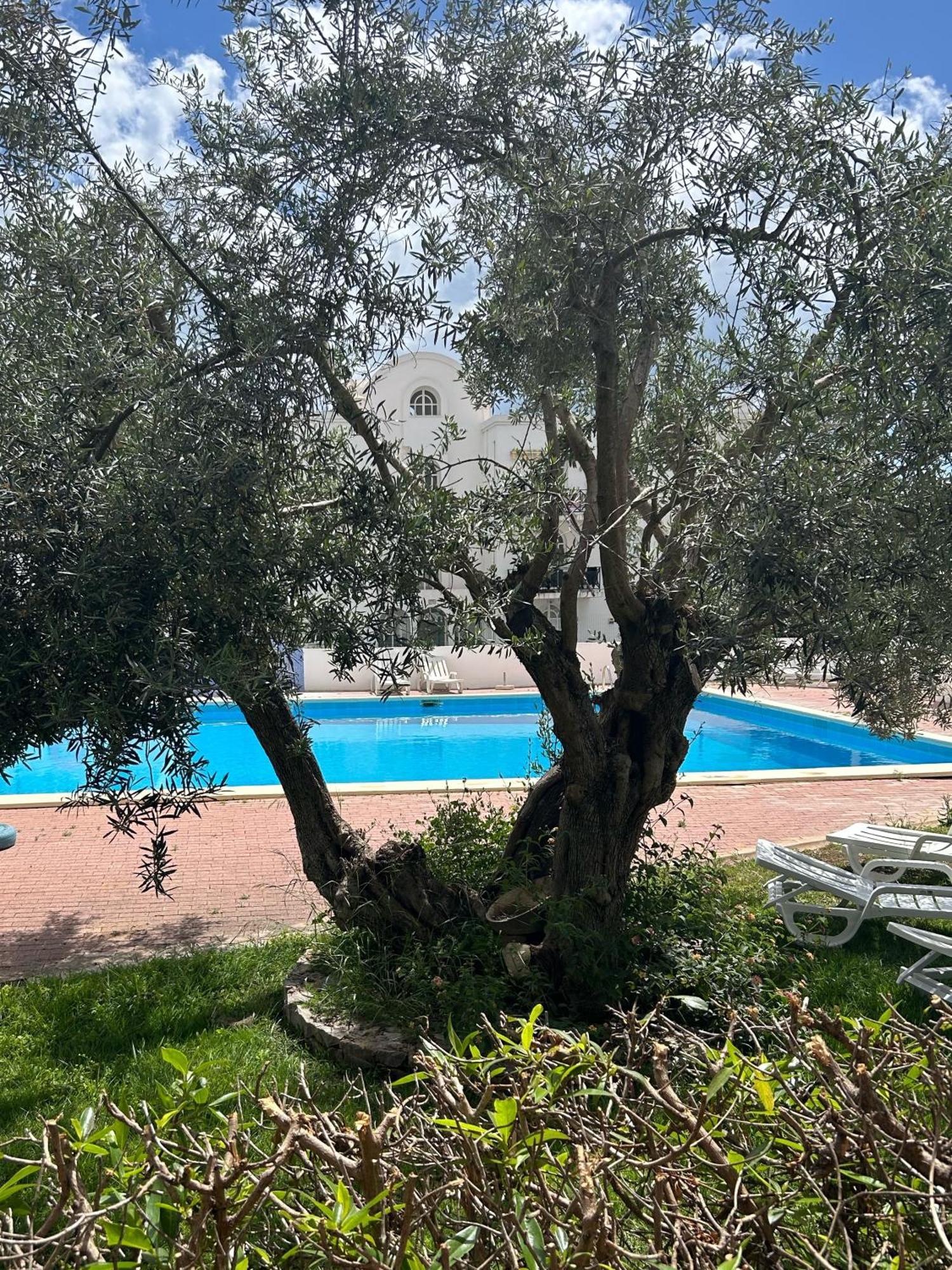 Tavira Garden 16 Daire Dış mekan fotoğraf